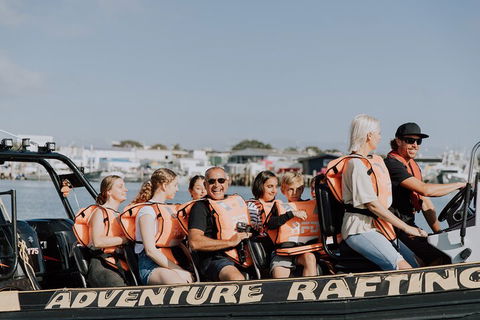 Adventure Whale Watching Tour Mooloolaba - Northern Rivers Accommodation 4