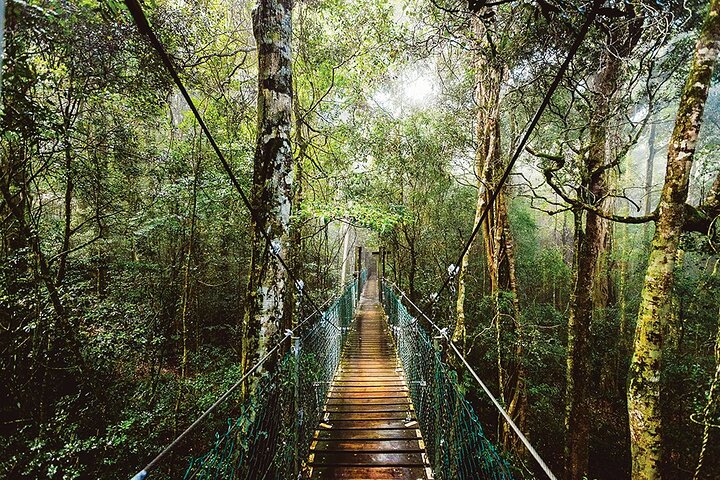 Benowa QLD Northern Rivers Accommodation