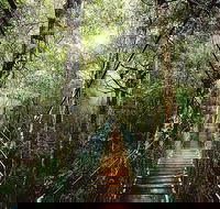 O'Reilly's  Lamington National Park from Gold Coast - Northern Rivers Accommodation
