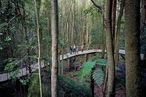 Blue Mountains PRIVATE Day Tour - Northern Rivers Accommodation 5