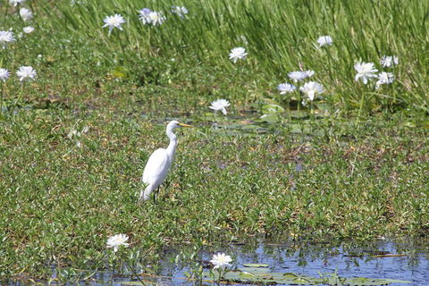 Darwin City Sights And Jumping Crocodile Cruise - Northern Rivers Accommodation 4