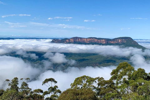 Small-Group Blue Mountains Tour With A Local Guide - Northern Rivers Accommodation 4