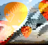 Natural Bridge  Springbrook Waterfalls Tour  Hot Air Balloon with Breakfast - Northern Rivers Accommodation