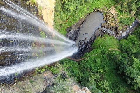 Natural Bridge & Springbrook Waterfalls Tour + Hot Air Balloon With Breakfast - Northern Rivers Accommodation 1