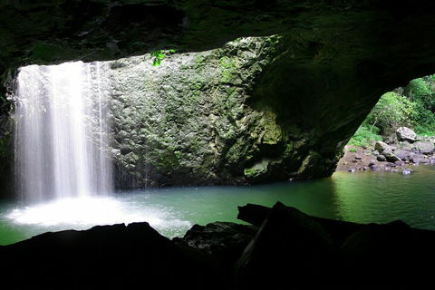 Natural Bridge & Springbrook Waterfalls Tour + Hot Air Balloon With Breakfast - Northern Rivers Accommodation 2