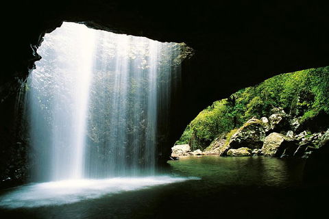 Natural Bridge & Springbrook Waterfalls Tour - Northern Rivers Accommodation 0