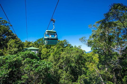 Skyrail Rainforest Cableway Day Trip From Cairns - Northern Rivers Accommodation 1