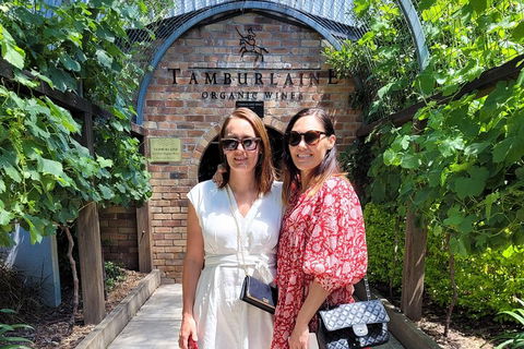 Hideaway Private Tours Hunter Valley- Indulgence Wine Tour (Full Day) - Northern Rivers Accommodation 5