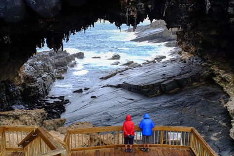 Full-Day Kangaroo Island Safari From Penneshaw - Northern Rivers Accommodation 1