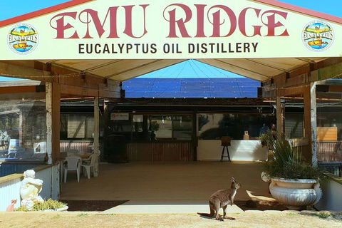 Full-Day Kangaroo Island Safari From Penneshaw - Northern Rivers Accommodation 2