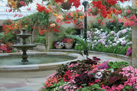 Hobart Half-Day Sightseeing Coach Tram Tour - Northern Rivers Accommodation 3