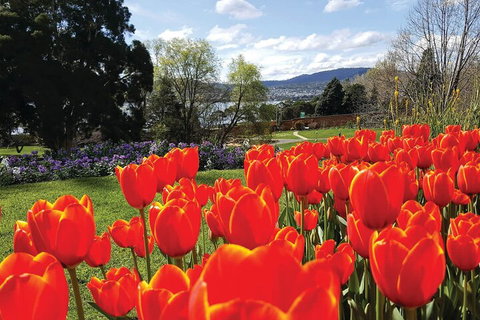 Hobart Half-Day Sightseeing Coach Tram Tour - Northern Rivers Accommodation 4