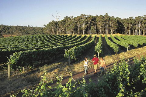 Margaret River, Caves, Wine And Cape Leeuwin Lighthouse Tour From Perth - Northern Rivers Accommodation 1