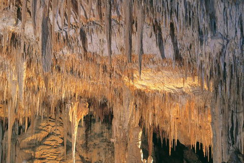 Margaret River, Caves, Wine And Cape Leeuwin Lighthouse Tour From Perth - Northern Rivers Accommodation 3