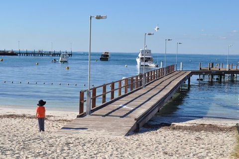 Monkey Mia Dolphins & Shark Bay Air Tour From Perth - Northern Rivers Accommodation 0