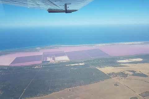 Monkey Mia Dolphins & Shark Bay Air Tour From Perth - Northern Rivers Accommodation 5