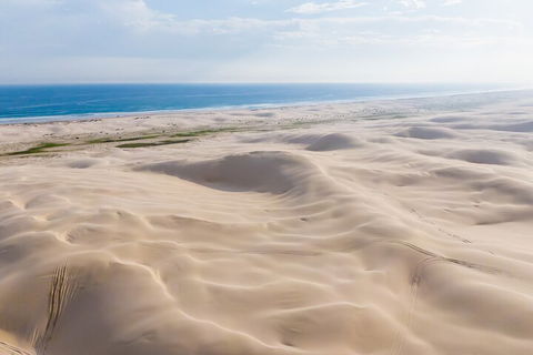 Port Stephens Bush, Beach And Sand Dune 4WD Passenger Tour - Northern Rivers Accommodation 2