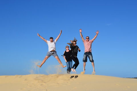 Port Stephens Bush, Beach And Sand Dune 4WD Passenger Tour - Northern Rivers Accommodation 3
