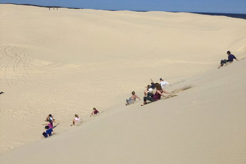 Port Stephens Bush, Beach And Sand Dune 4WD Passenger Tour - Northern Rivers Accommodation 4