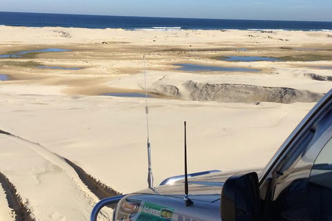 Port Stephens Bush, Beach And Sand Dune 4WD Passenger Tour - Northern Rivers Accommodation 5
