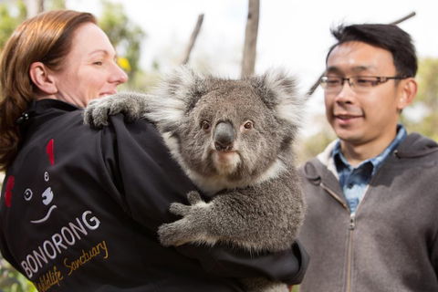 Bonorong Wildlife Park And Richmond Afternoon Tour From Hobart - Northern Rivers Accommodation 0