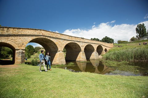 Bonorong Wildlife Park And Richmond Afternoon Tour From Hobart - Northern Rivers Accommodation 2