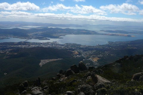 Mt Wellington Tour And MONA Admission - Northern Rivers Accommodation 2