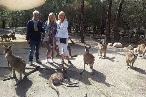 Private Scenic Day Trip From Sydney For Families And Friends - Northern Rivers Accommodation 1