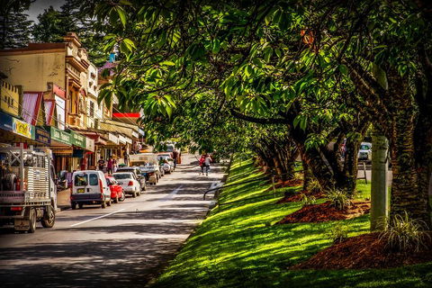 Fully Inclusive Blue Mountains Private Tour Inc Scenic World & Featherdale Entry - Northern Rivers Accommodation 0