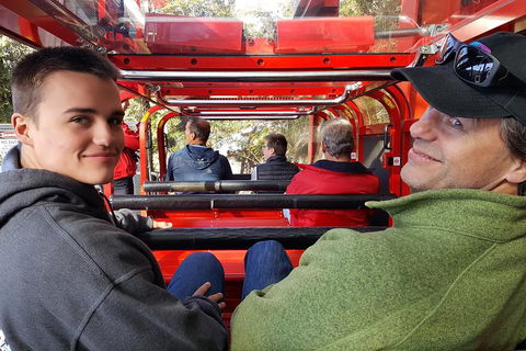 Fully Inclusive Blue Mountains Private Tour Inc Scenic World & Featherdale Entry - Northern Rivers Accommodation 1