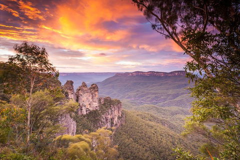 Fully Inclusive Blue Mountains Private Tour Inc Scenic World & Featherdale Entry - Northern Rivers Accommodation 5