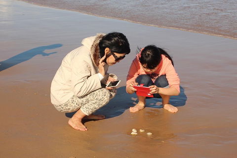 Beach & Dune - Northern Rivers Accommodation 2