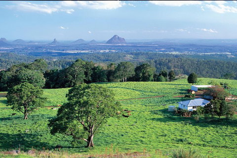 Full Day Sunshine Coast Hinterland Luxury Small Group Tour From Brisbane - Northern Rivers Accommodation 2
