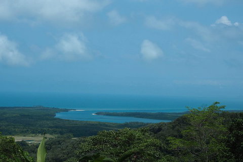 Cape Tribulation, Daintree Rainforest And Wildlife Tour - Northern Rivers Accommodation 1