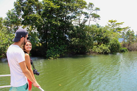 Cape Tribulation, Daintree Rainforest And Wildlife Tour - Northern Rivers Accommodation 2