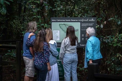 Sunshine Coast Hinterland And Noosa Day Trip From Brisbane Including Eumundi Markets And Ginger Factory - Northern Rivers Accommodation 0