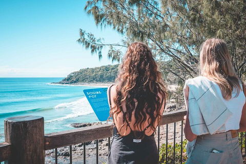 Sunshine Coast Hinterland And Noosa Day Trip From Brisbane Including Eumundi Markets And Ginger Factory - Northern Rivers Accommodation 2