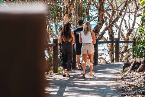 Sunshine Coast Hinterland And Noosa Day Trip From Brisbane Including Eumundi Markets And Ginger Factory - Northern Rivers Accommodation 4