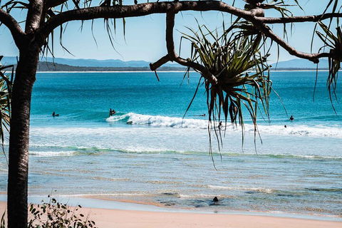 Sunshine Coast Hinterland And Noosa Day Trip From Brisbane Including Eumundi Markets And Ginger Factory - Northern Rivers Accommodation 5