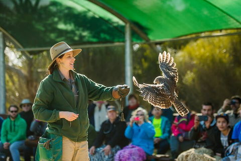 Full Day Kangaroo Island Sip And See Tour Departing From Kangaroo Island - Northern Rivers Accommodation 1