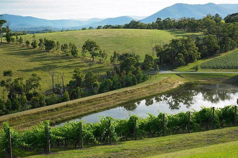 CHEVY CONVERTIBLE Package For 2 People- Wine Lunch Cheese & Chocolate From Melb. - Northern Rivers Accommodation 0