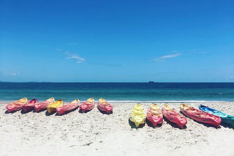 Kayaking With Dolphins In Byron Bay Guided Tour - Northern Rivers Accommodation 1