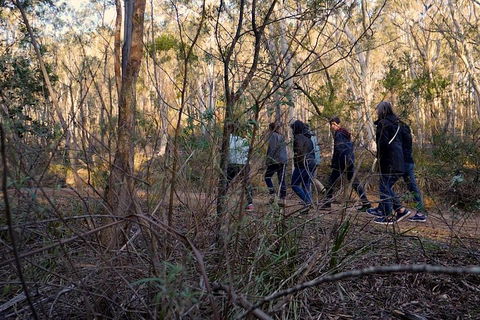 Wild Australian Wildlife 4WD Tour From Sydney - Northern Rivers Accommodation 0