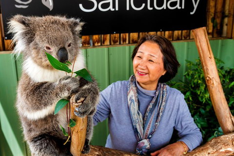 Moonlit Sanctuary Wildlife Conservation Park Daytime General Entry Ticket - Northern Rivers Accommodation 0