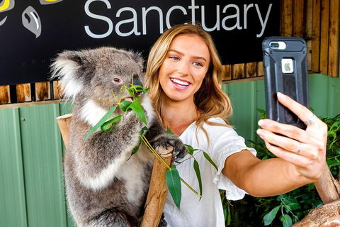 Moonlit Sanctuary Wildlife Conservation Park Daytime General Entry Ticket - Northern Rivers Accommodation 4