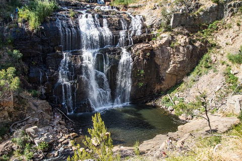 Great Ocean Road Grampians 3 Day National Park Tour Melbourne Roundtrip - Northern Rivers Accommodation 2