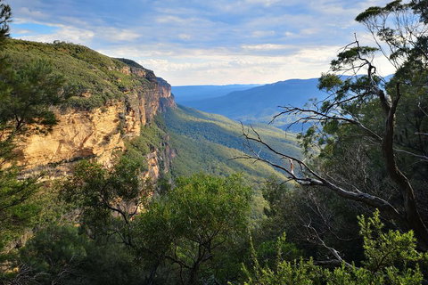 Blue Mountains Day Tour With Wildlife At Sunset From Sydney - Northern Rivers Accommodation 5