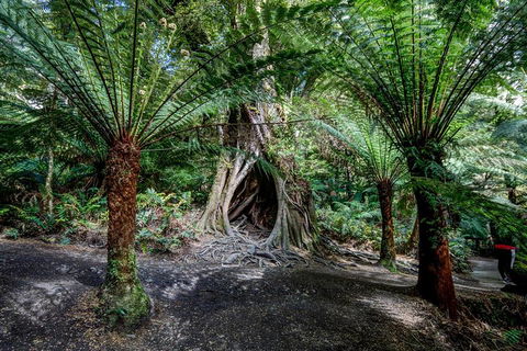 Adelaide To Melbourne 3-Day Trip Through Grampians And Great Ocean Road - Northern Rivers Accommodation 0