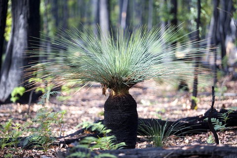 Adelaide To Melbourne 3-Day Trip Through Grampians And Great Ocean Road - Northern Rivers Accommodation 4