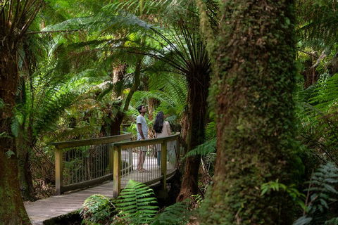 Great Ocean Road To Grampians 2 Day 1 Night Tour From Melbourne To Adelaide - Northern Rivers Accommodation 0